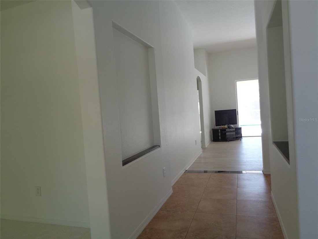 House in Land O' Lakes, Florida, United States 5 - 17603827