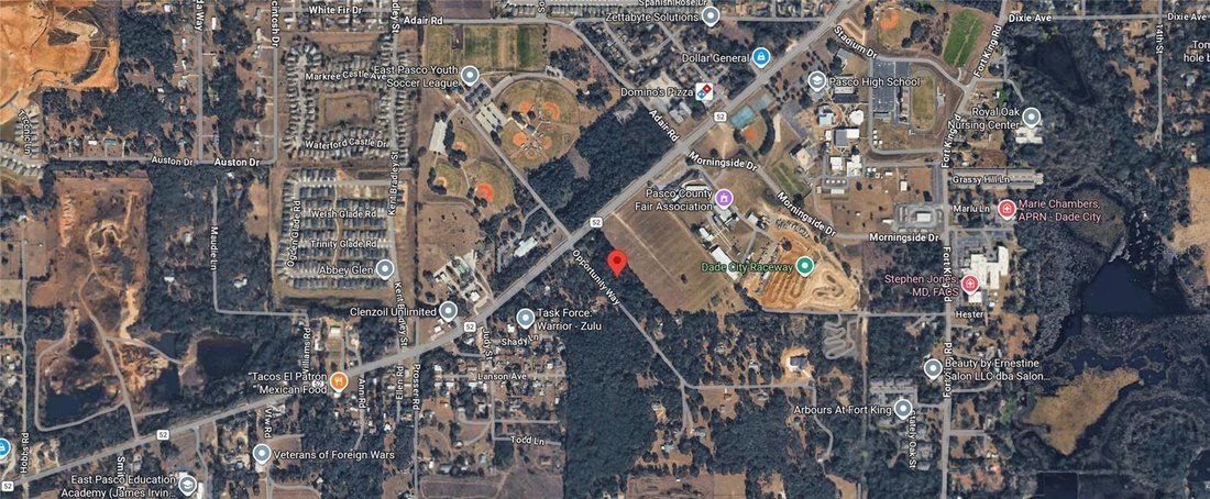 House in Dade City, Florida, United States 4 - 17603404