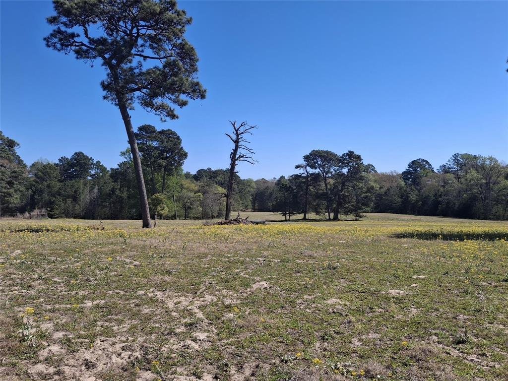 Farm Ranch in Jacksonville, Texas, United States 4 - 17610496