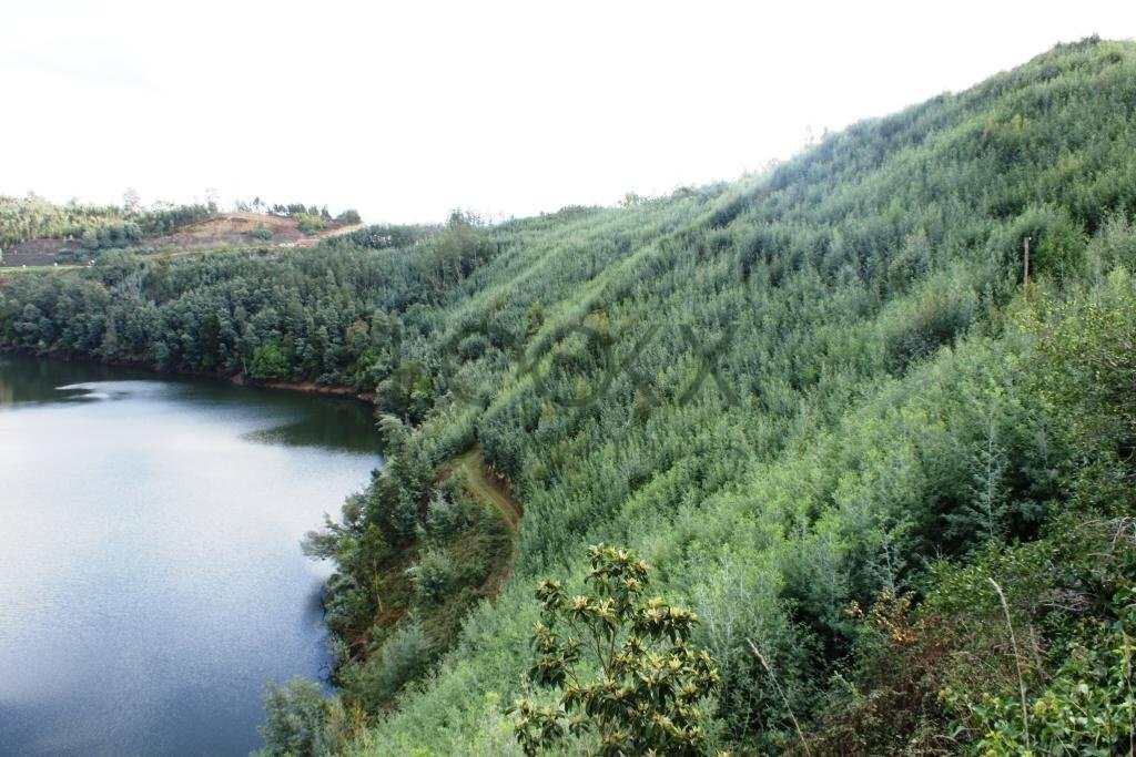 Land in Oliveira do Mondego e Travanca do Mondego, Coimbra District, Portugal 4 - 17613320