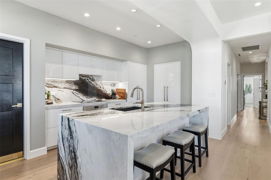 Condo in St. Petersburg, Florida, United States 5 - 17604337