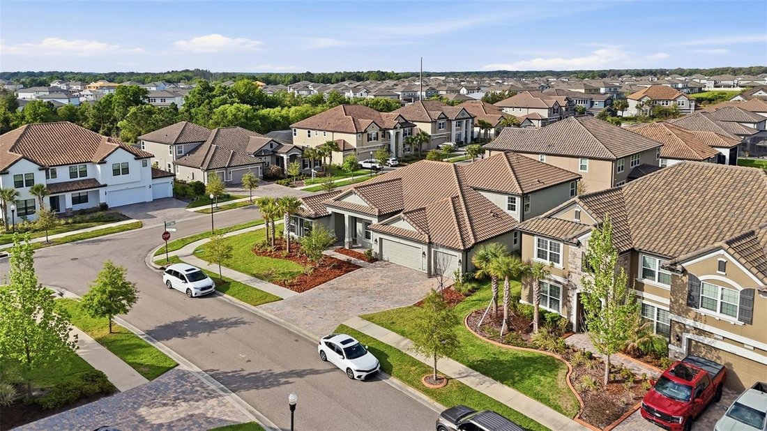 House in Wesley Chapel, Florida, United States 3 - 17603451