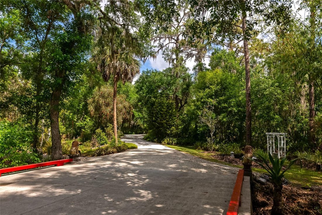 House in Wimauma, Florida, United States 3 - 17603709