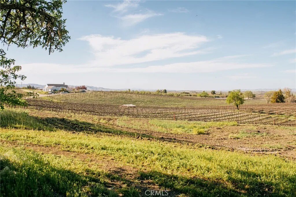 House in Templeton, California, United States 4 - 17607803