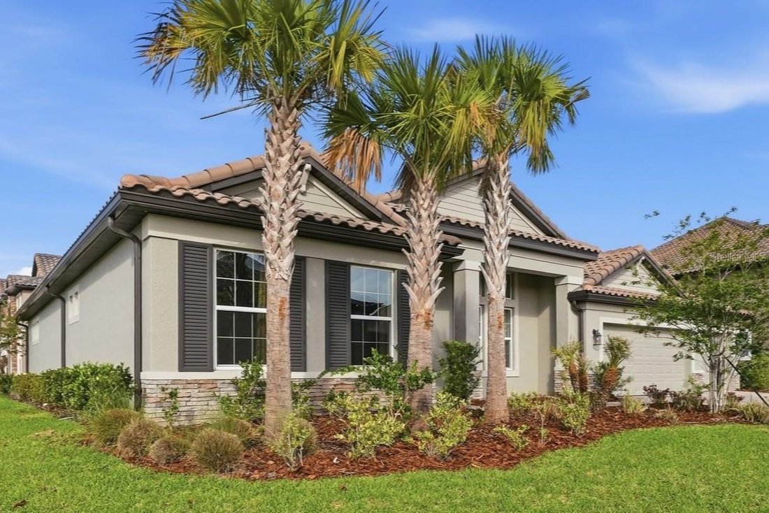 House in Wesley Chapel, Florida, United States 4 - 17603451
