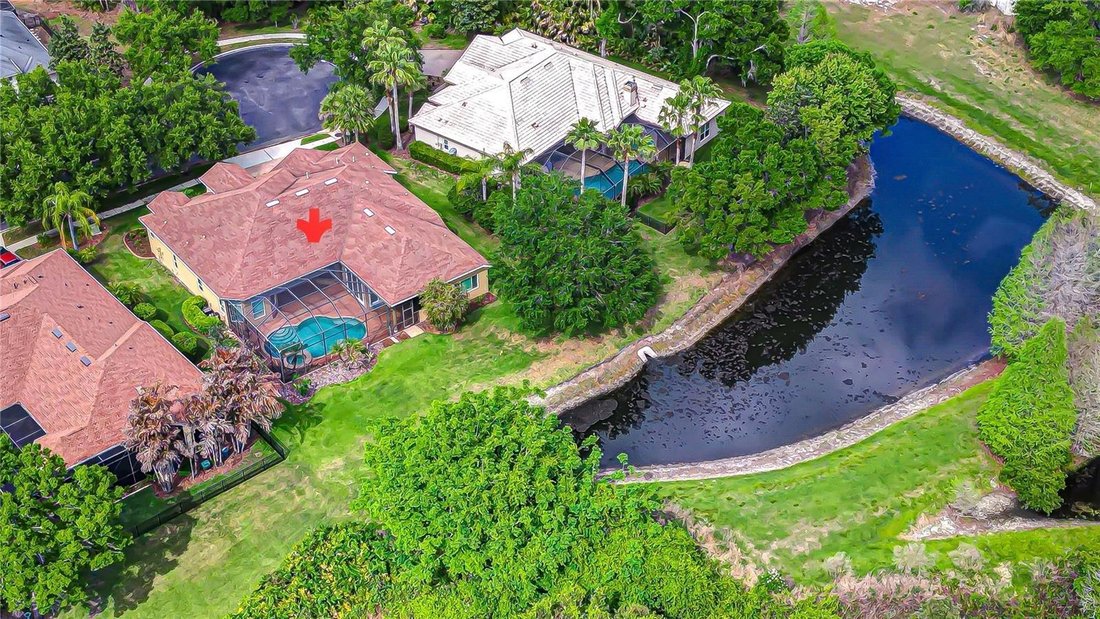 House in Land O' Lakes, Florida, United States 4 - 17603584