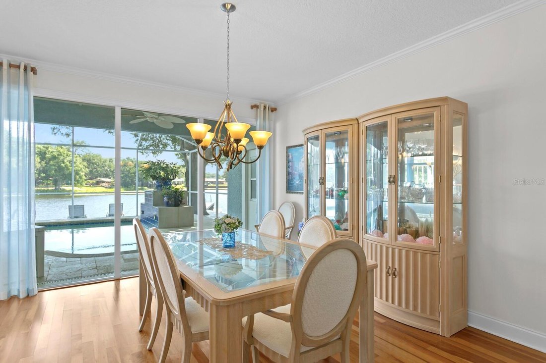 House in Tampa, Florida, United States 4 - 17604394