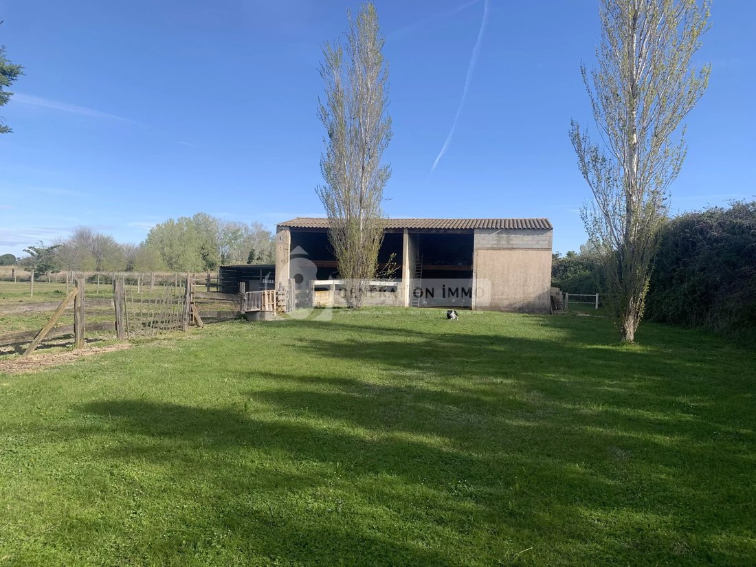 House in Fourques, Occitania, France 3 - 17602442
