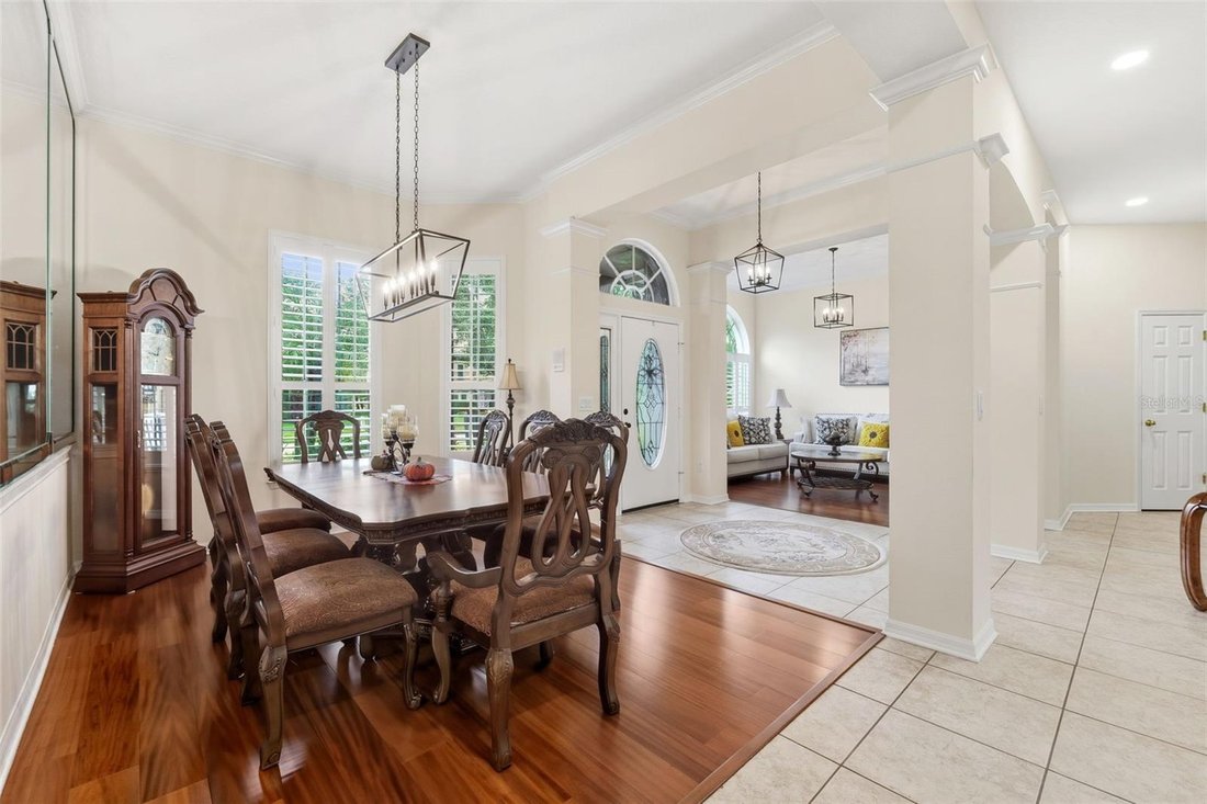 House in Lutz, Florida, United States 5 - 17603756