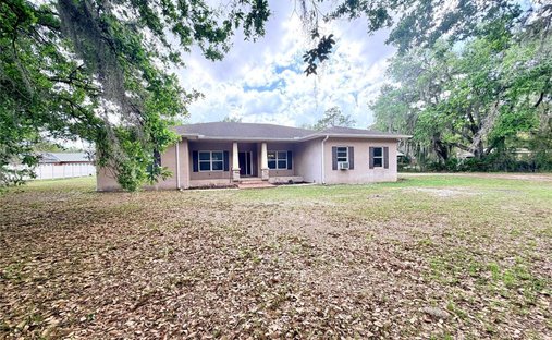 House in Plant City, Florida, United States 1