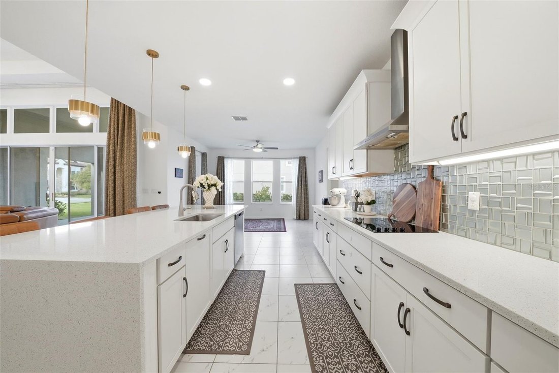 House in Wesley Chapel, Florida, United States 4 - 17603451