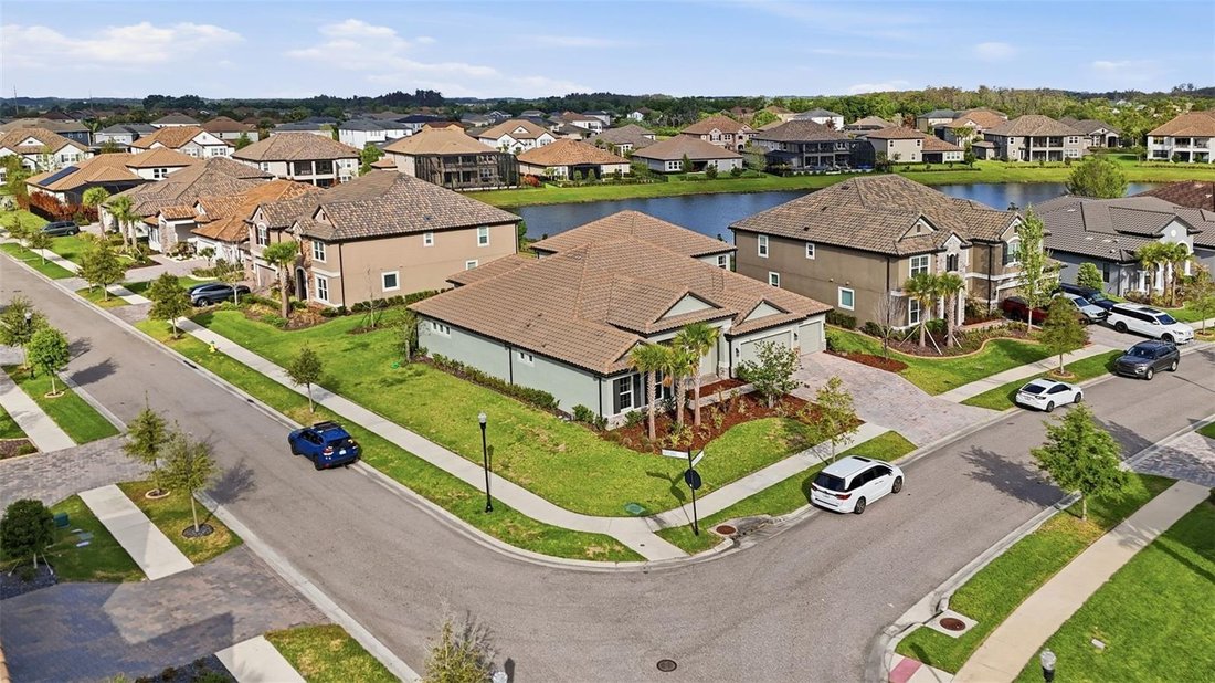 House in Wesley Chapel, Florida, United States 2 - 17603451