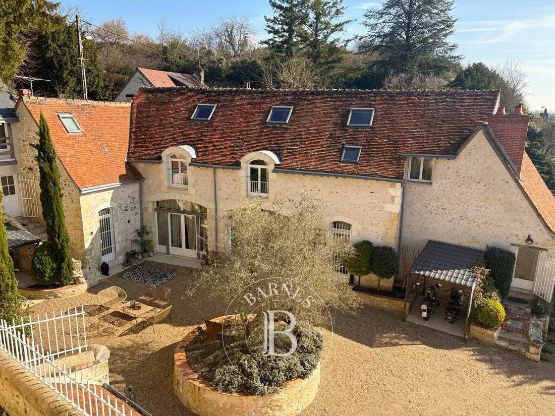 Estate in Vernou-sur-Brenne, Centre-Val de Loire, France 2 - 17602456