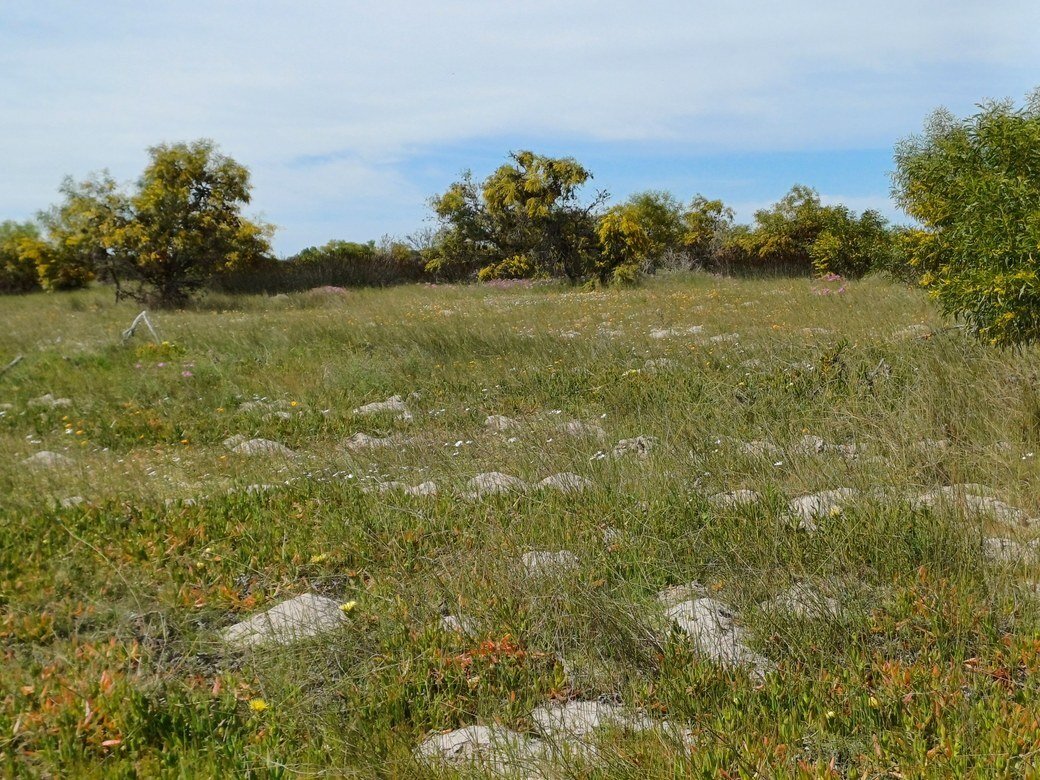 Land in Yzerfontein, Western Cape, South Africa 3 - 16289345