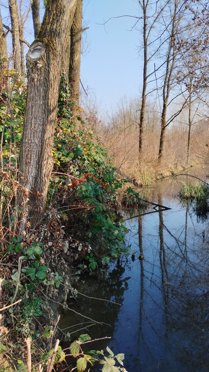 Land in Cervarese Santa Croce, Veneto, Italy 1 - 17613858