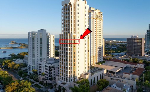 Condo in St. Petersburg, Florida, United States 1