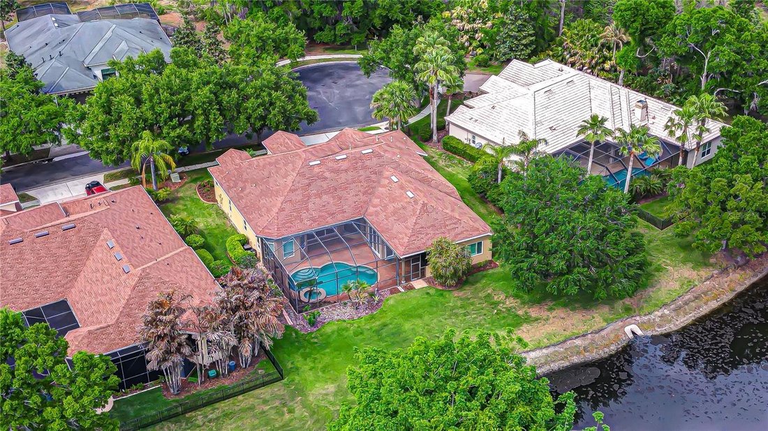 House in Land O' Lakes, Florida, United States 5 - 17603584