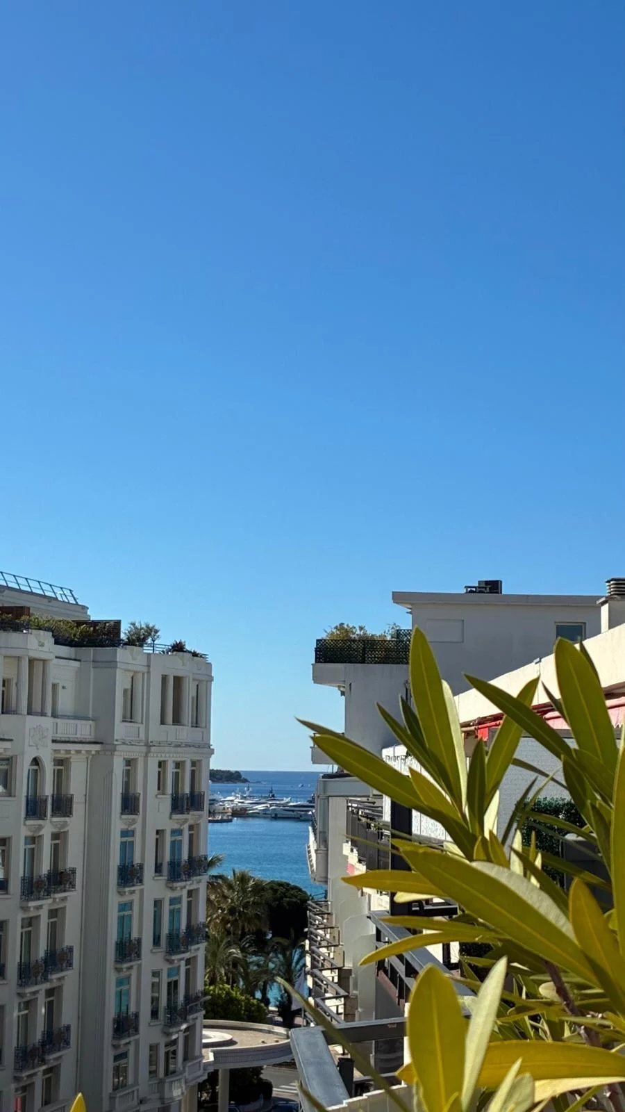 Apartment in La Source, Cannes, France 1 - 17134325