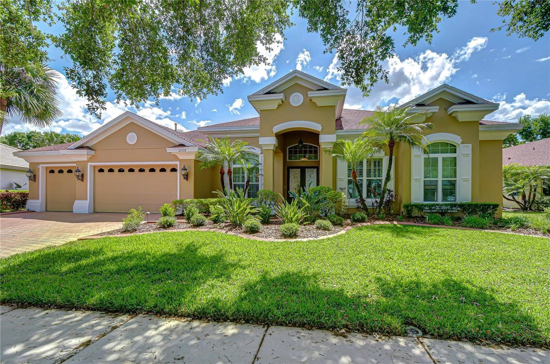 House in Land O' Lakes, Florida, United States 1 - 17603584