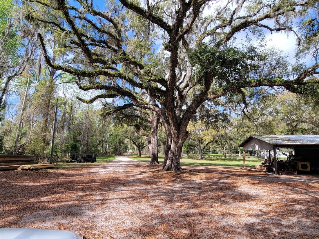 House in South Brooksville, Florida, United States 5 - 17604107