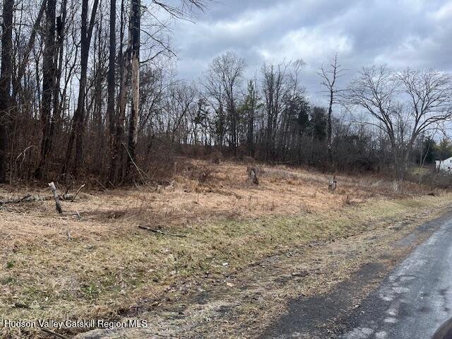 Jewett, New York, United States 2 - 17615719