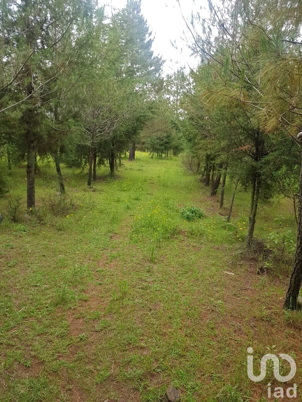 Land in Canalejas, State of Mexico, Mexico 1 - 17601226