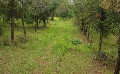 Terrain à Canalejas, État de Mexico, Mexique 1