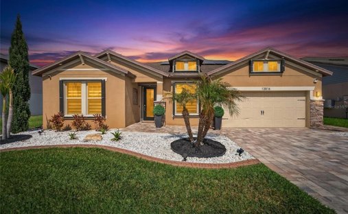 House in Riverview, Florida, United States 1