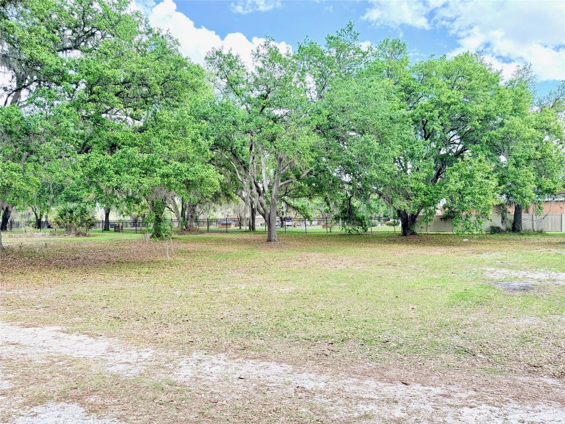 House in Plant City, Florida, United States 3 - 17604709