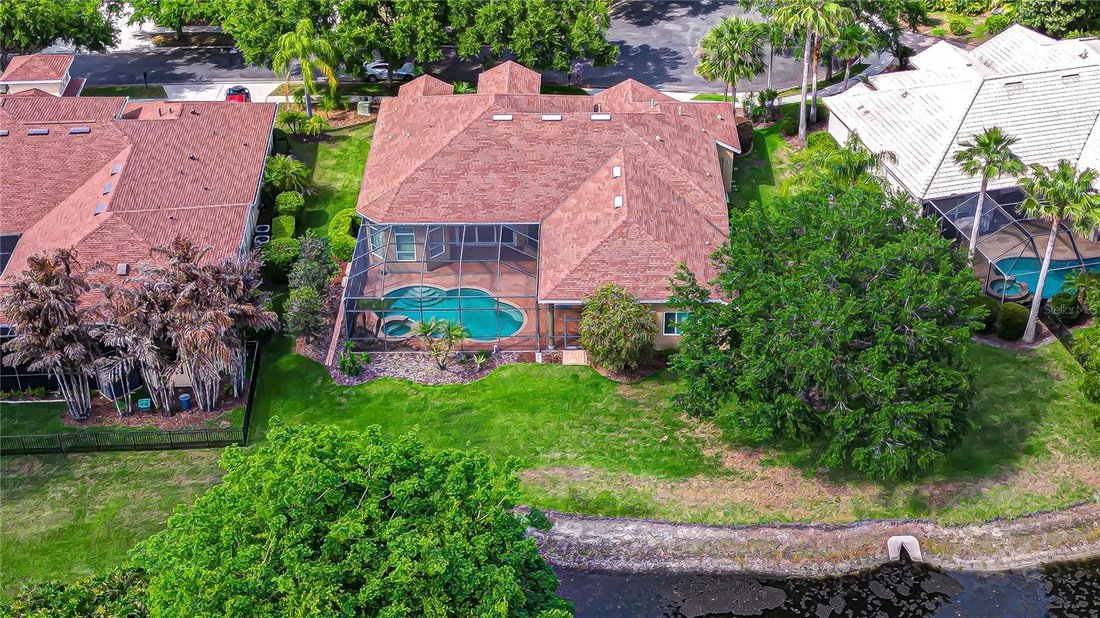 House in Land O' Lakes, Florida, United States 3 - 17603584