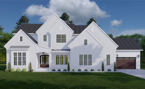 House in Palm Harbor, Florida, United States 1