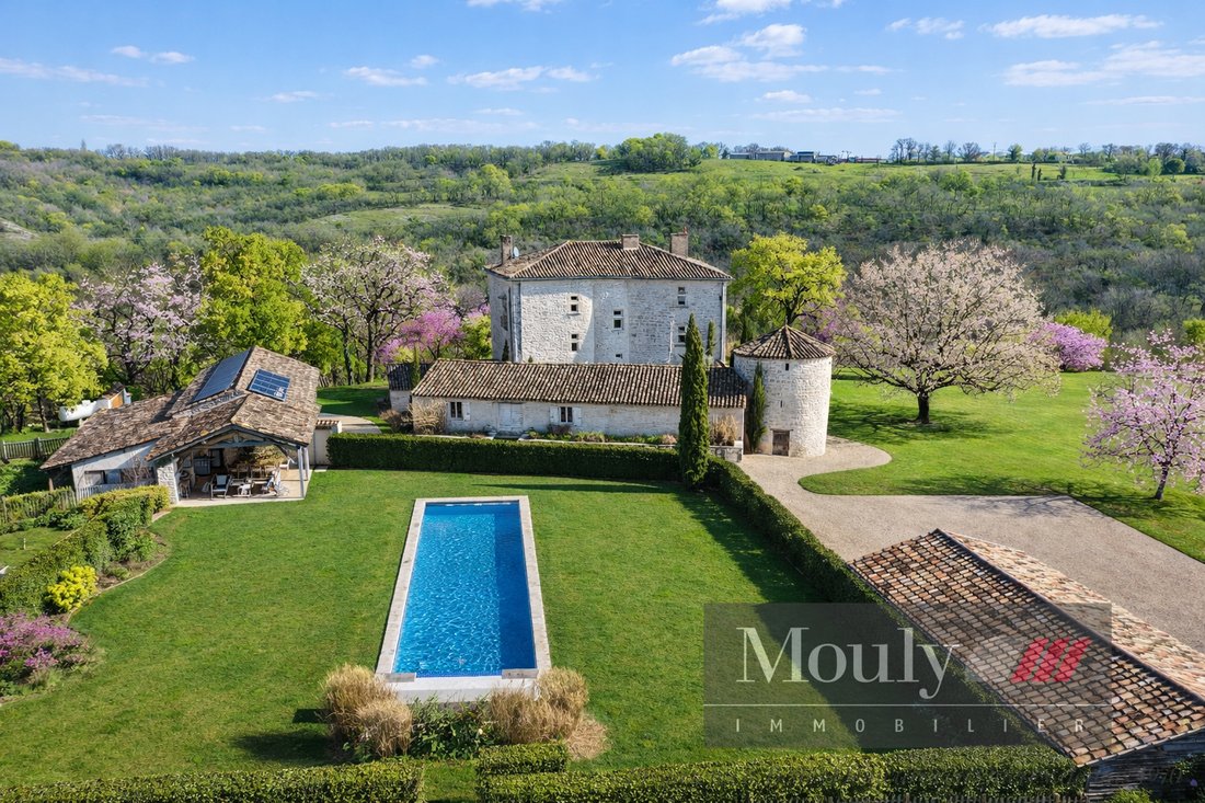 Castle in Montcuq-en-Quercy-Blanc, Occitania, France 1 - 17473709