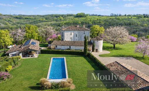 Castle in Montcuq-en-Quercy-Blanc, Occitania, France 1