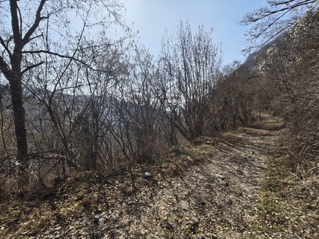 Land in Cavarzano - Baldenich - Nogaré, Belluno, Veneto 1 - 17613852