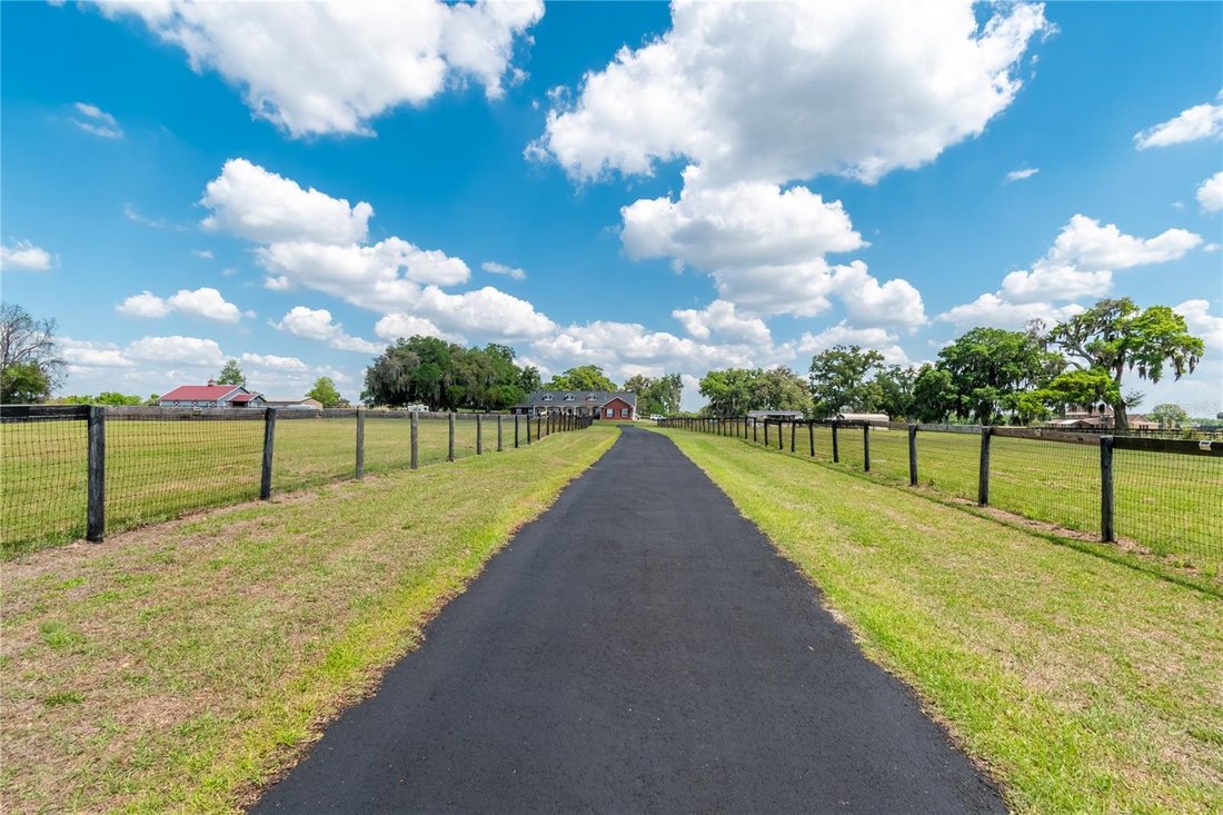 Land in Reddick, Florida, United States 4 - 17603988