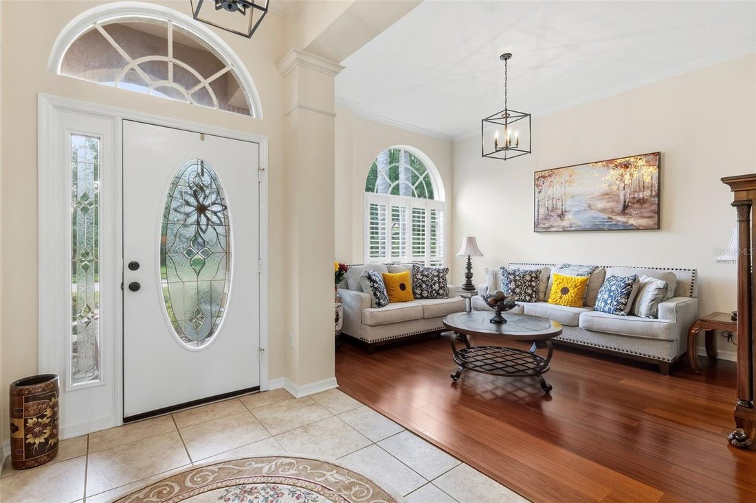 House in Lutz, Florida, United States 3 - 17603756