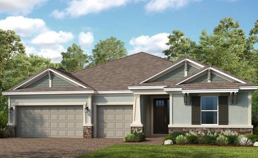 House in Odessa, Florida, United States 1