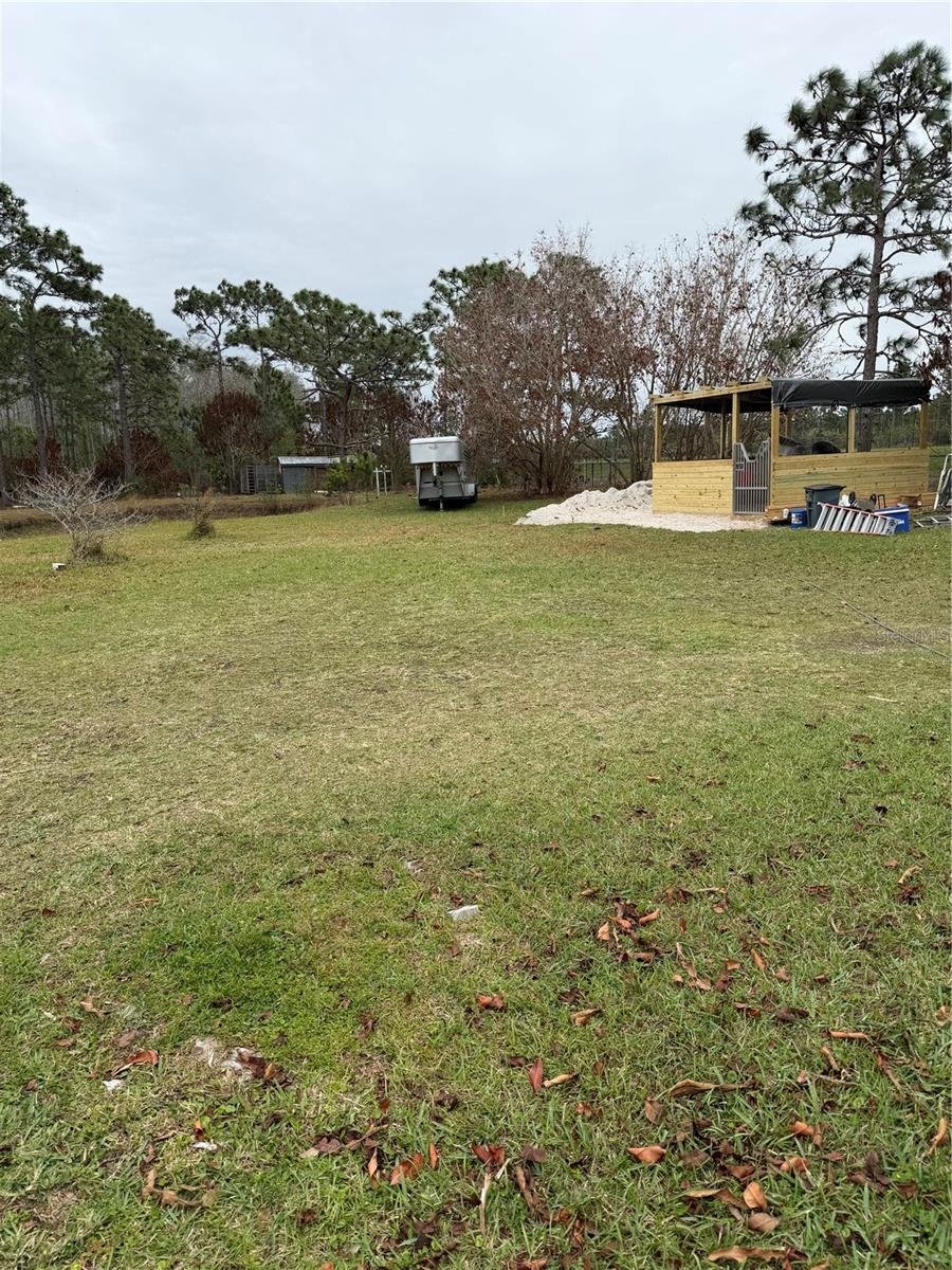 House in Orlando, Florida, United States 5 - 17604905