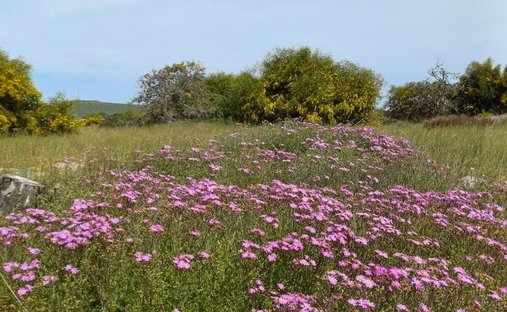 Land in Yzerfontein, Western Cape, South Africa 1