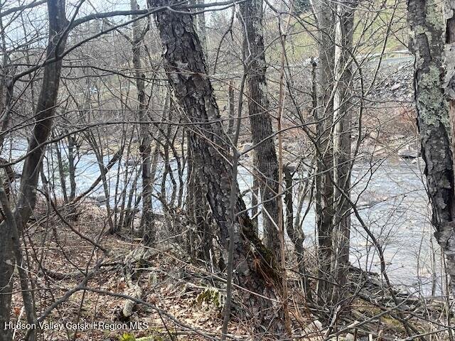 Jewett, New York, United States 5 - 17615719