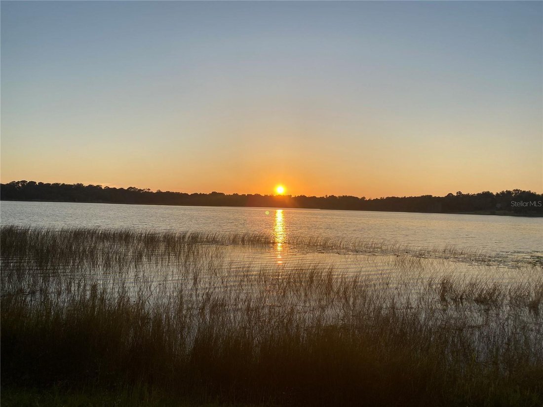 House in Ocala, Florida, United States 3 - 17604753