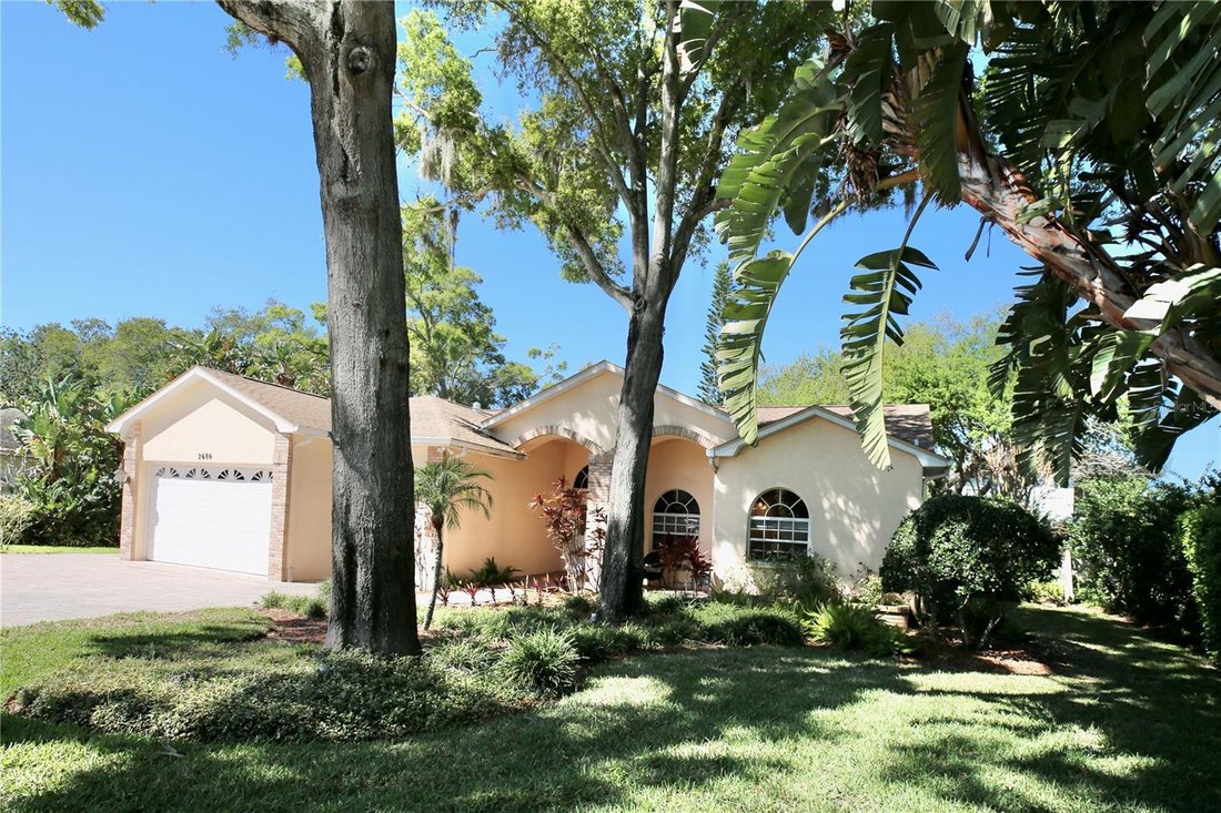House in Dunedin, Florida, United States 5 - 17383146