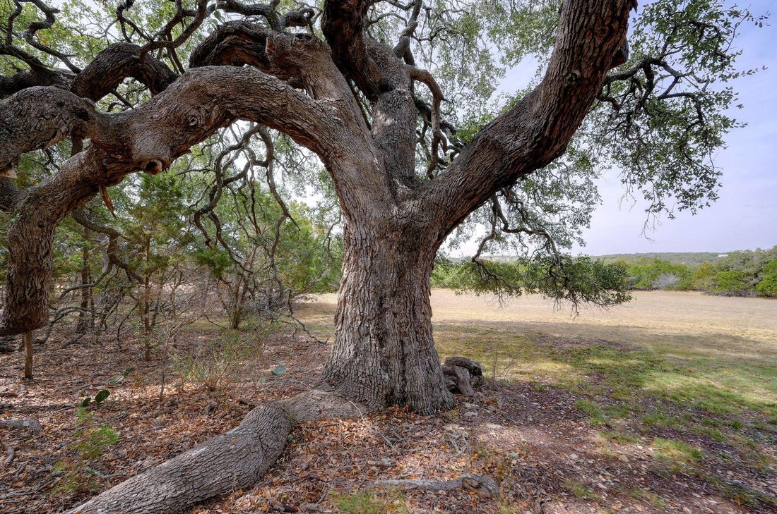 House in Wimberley, Texas, United States 4 - 17610406