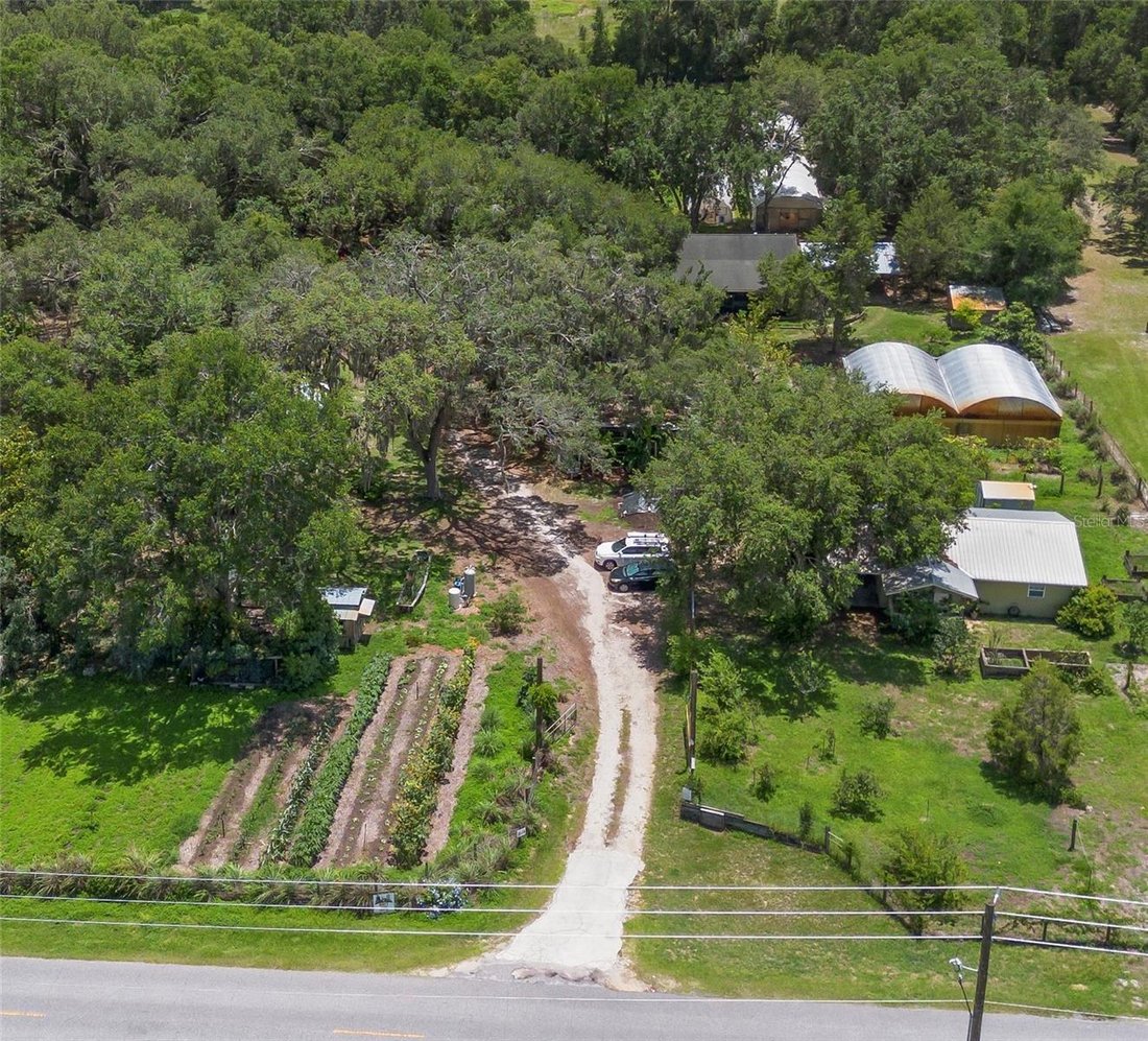 Farm Ranch in Leesburg, Florida, United States 1 - 17603495