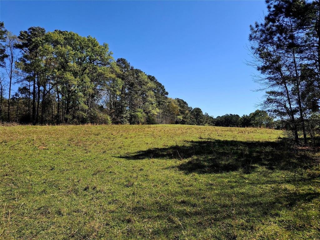 Farm Ranch in Jacksonville, Texas, United States 1 - 17610496