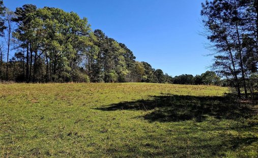 Farm Ranch in Jacksonville, Texas, United States 1