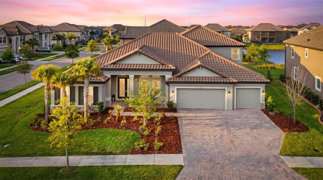 House in Wesley Chapel, Florida, United States 1 - 17603451