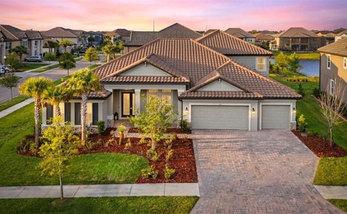 House in Wesley Chapel, Florida, United States 1
