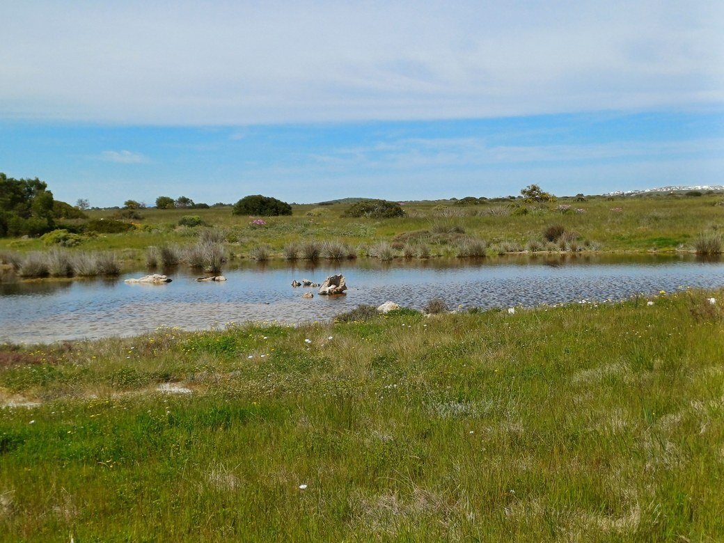 Land in Yzerfontein, Western Cape, South Africa 4 - 16289345