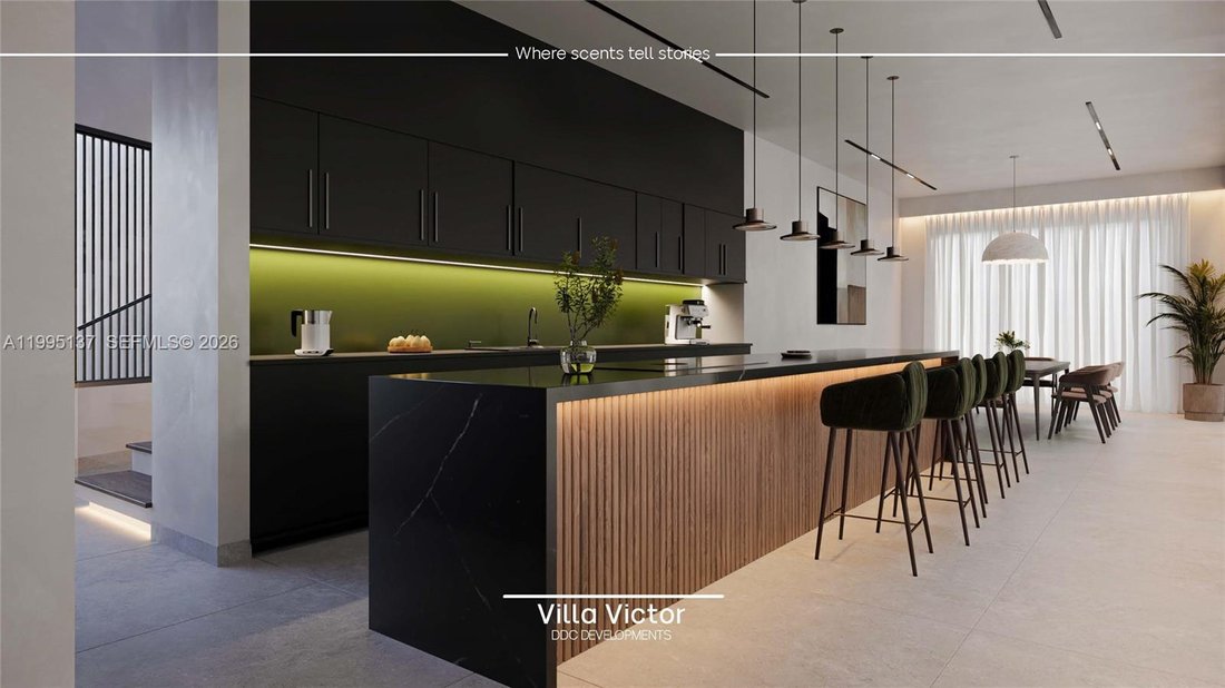 House in Miami, Florida, United States 3 - 17603321